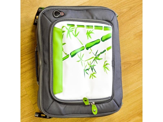 Picture of Projektora soma