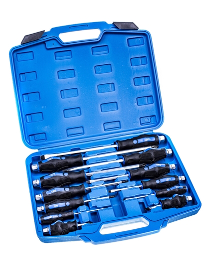 Picture of Satra SATRA WKRTAKI DO POBIJANIA KPL.12szt. S-S12PC - S-S12PC