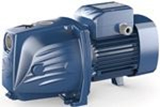 Picture of PEDROLLO Sūknis JSWm 2CX 50m/4200l/st 0.75kw
