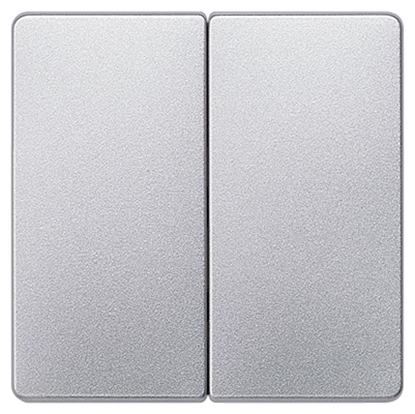 Attēls no Taustiņš alum.met.2pol.5TG6245                            