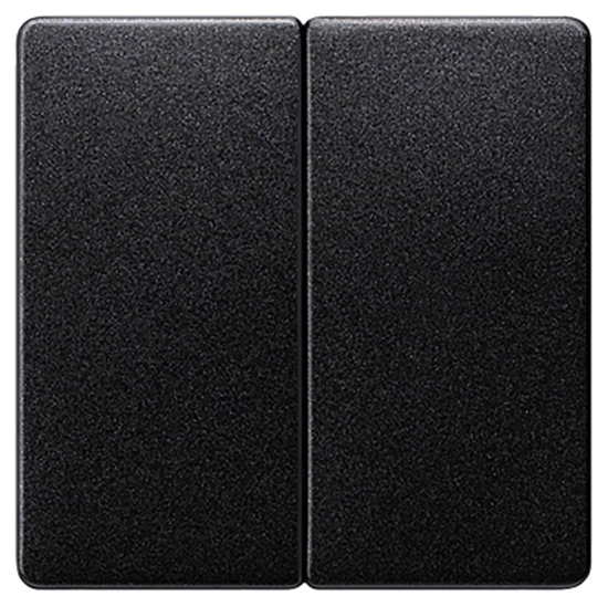 Изображение Taustiņš ogļu melns 2pol.5TG6225