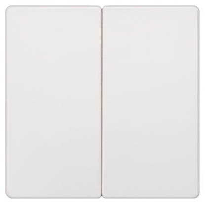 Изображение Taustiņš titānb.2pol.5TG6205                         