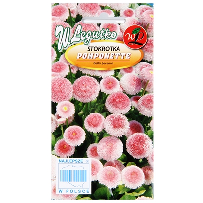 Picture of Sēklas Mārpuķītes 0.5g