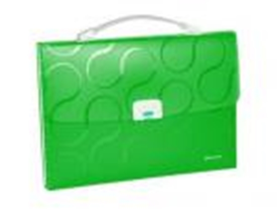 Picture of *Portfelis-kartoteka OMEGA zaļa