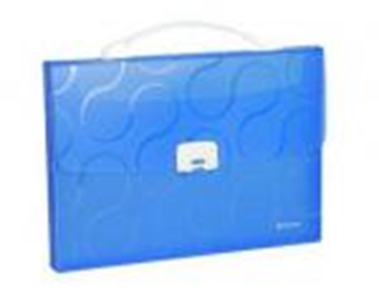 Picture of *Portfelis-kartoteka OMEGA zila