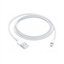 Picture of Apple Lightning USB kabelis, 1.0m (retail)