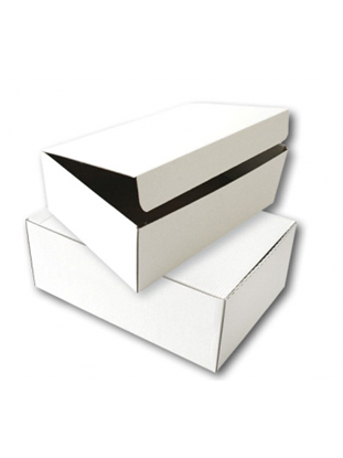 Изображение Archive box SMLT micrograph of cardboard, white 120x355x255mm