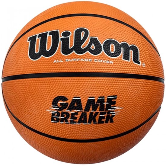 Picture of Basketbola bumba Wilson izm:7