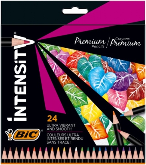 Изображение BIC Coloring pencils Intensity 24 colours 967823