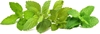 Picture of Click & Grow Plant Pod Calming Tea Mix 9pcs