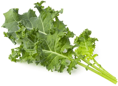 Attēls no Click & Grow Smart Refill Green Kale 3pcs