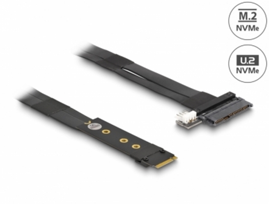 Изображение Delock M.2 Key M to U.2 SFF-8639 NVMe Adapter with 20 cm cable