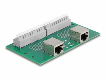 Изображение Delock RJ50 2 x female to 2 x Terminal Block with push-button for DIN rail