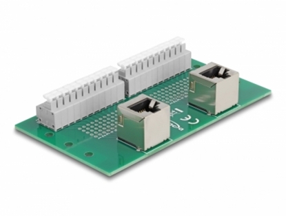 Picture of Delock RJ50 2 x female to 2 x Terminal Block with push-button for DIN rail angled