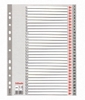 Picture of Divider Esselte PP, A4, numbers 1-31, plastic