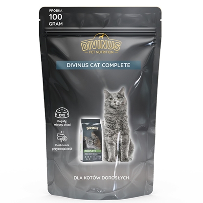 Picture of DIVINUS Cat Complete Adult - dry cat food - 100 g