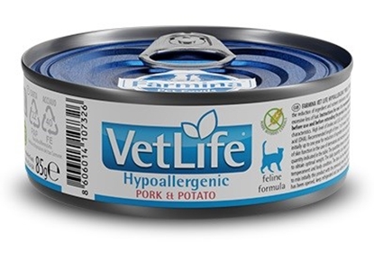 Attēls no FARMINA Vet Life Hypoallergenic Pork & Potato - wet cat food - 85 g