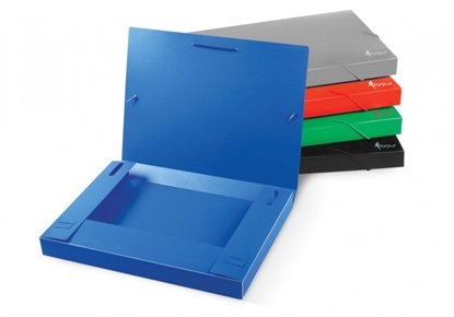 Picture of Folder-case with rubbers Forpus, A4 / 30 mm, plastic, blue