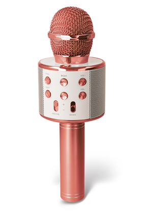 Picture of Forever BMS-300 Bluetooth microphone with speaker
