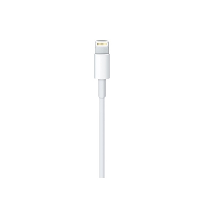 Attēls no Kabelis Apple Lightning Male - USB Type-C Male 1m White