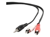 Picture of Kabelis Gembird 3.5mm Jack - 2x RCA 2.5m