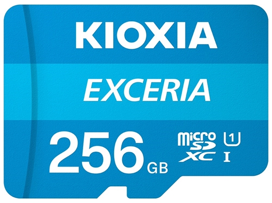 Picture of Kioxia Exceria 256 GB MicroSDXC UHS-I Class 10