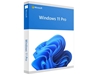 Picture of Microsoft Windows 11 Pro ENG Intl USB FPP