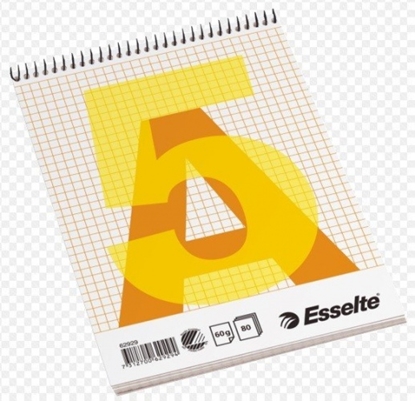 Attēls no Notebook with a spiral Esselte, A5/80, Squared 0723-201