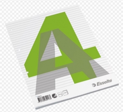 Изображение Notebook, removable pages, Esselte, A4/100, lined 0723-206