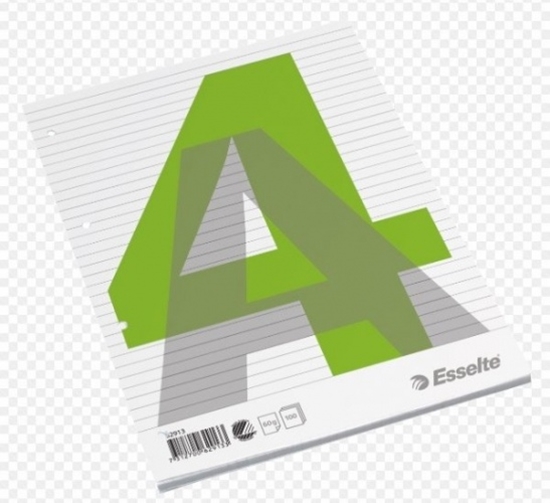 Изображение Notebook, removable pages, Esselte, A4/100, lined 0723-206