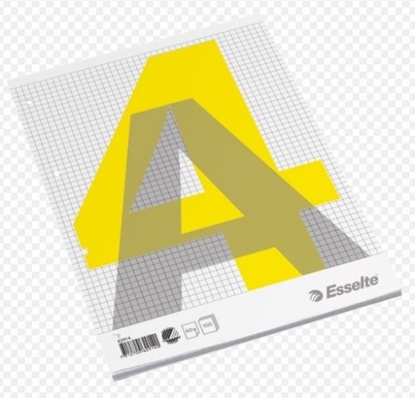 Изображение Notebook, removable pages, Esselte, A4/100, Squared 0723-205