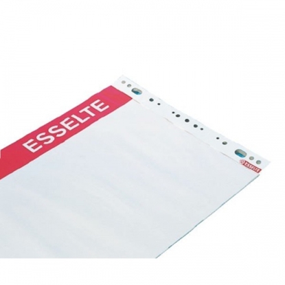 Picture of Pad for conferences Esselte, 59x80 cm, 60 g white (50) 0715-008