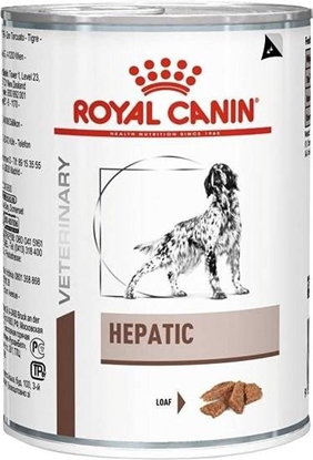 Attēls no ROYAL CANIN Hepatic - Wet dog food - 420 g