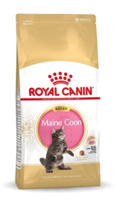 Attēls no Royal Canin Maine Coon Kitten dry cat food 10 kg