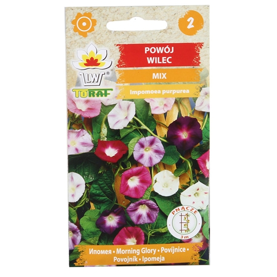 Picture of Sēklas Ipomejas maisījums 3g