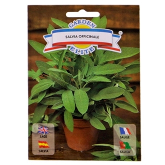 Изображение Sēklas Salvija ārstnieciskā 1g