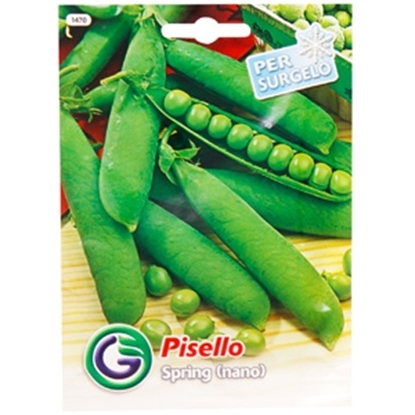 Picture of Sēklas Zirņi Spring 25g GS