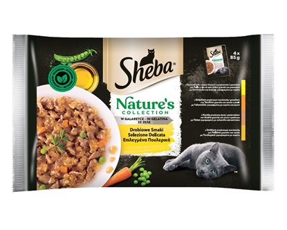 Picture of SHEBA sachets in sauce Nature's Collection poultry - wet cat food - 4x85g