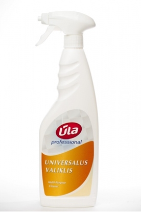Picture of Universal cleaner Ūla Professional, with nozzle