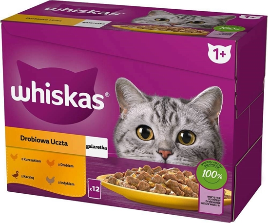 Picture of WHISKAS sachet jelly poultry, duck, turkey, chicken - wet cat food - 12x85 g