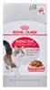 Picture of ROYAL CANIN FHN Instinctive - wet pate food for adult cats - 12x 85g