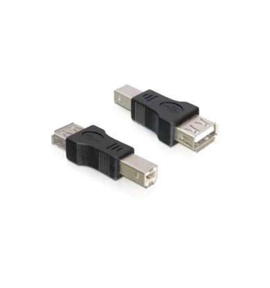 Picture of Adapteris USB-BM uz USB-AF, Delock