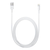 Изображение Apple Lightning auf USB Kabel 0,5m (retail)