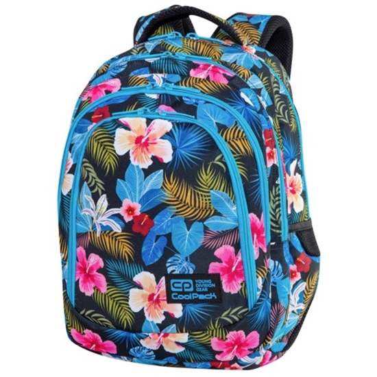 Picture of Backpack CoolPack Drafter China Rose