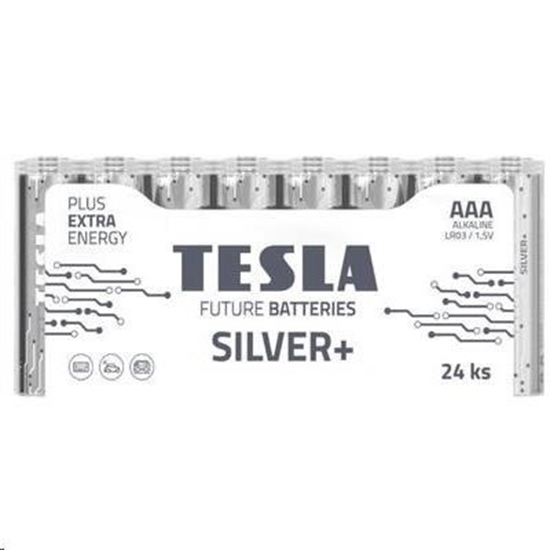 Picture of Batteries Tesla AAA Silver+ Alkaline LR03 1150 mAh (24 pcs) (13032410)