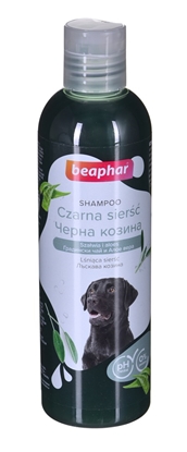 Picture of BEAPHAR Black coat - shampoo for dogs - 250ml