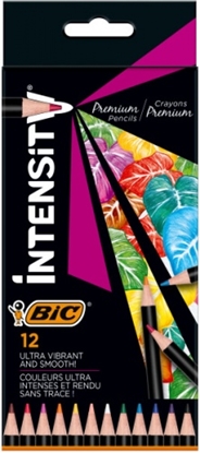 Picture of BIC Coloring pencils Intensity 12 colours 951844