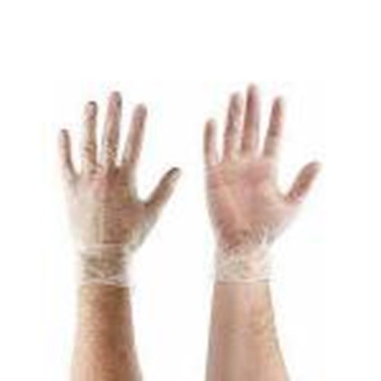 Picture of Cimdi vinila L caurspīdīgi 100gab Gentle Touch