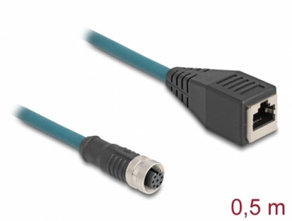 Изображение Delock M12 Adapter Cable A-coded 8 pin female to RJ45 female 50 cm