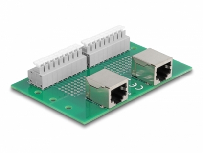 Изображение Delock RJ45 2 x female to 2 x Terminal Block with push-button for DIN rail